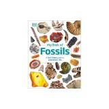 My Book of Fossils: Prehistoric Treasures to Intrigue, Inspire, and Thrill!