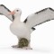 Figurina Albatros Ratacitor L Collecta