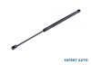 Amortizor hayon Chrysler 300C (2004-2010) [LX,LE] #1