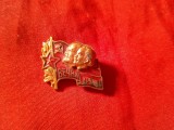 Insigna veche Bulgaria Comunista - Prietenie Vesnica , metal si email , L=1,8cm