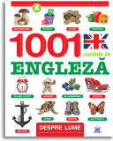 Cumpara ieftin 1001 cuvinte in engleza. Despre lume |, Didactica Publishing House