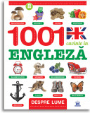 Cumpara ieftin 1001 cuvinte in engleza. Despre lume |