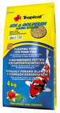 TROPICAL Koi goldfish basic sticks 50L