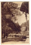 AD 897 C. P. VECHE -SLANIC MOLDOVA -ALEIE DIN PARC -RPR -CIRCULATA 1955
