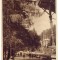 AD 897 C. P. VECHE -SLANIC MOLDOVA -ALEIE DIN PARC -RPR -CIRCULATA 1955