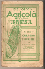 Cultura Porumbului-G.Ionescu-Sisesti 1936 foto