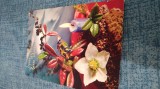 CARTE POSTALA FELICITARE CIRCULATA