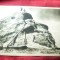 Ilustrata RPR Libraria Noastra - Muntii Bucegi - Varful Omul