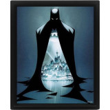 DC Comics Framed 3D Effect Poster Pack Batman Gotham Protector 26 x 20 cm (3)