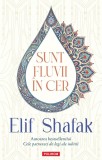 Cumpara ieftin Sunt Fluvii In Cer, Elif Shafak - Editura Polirom
