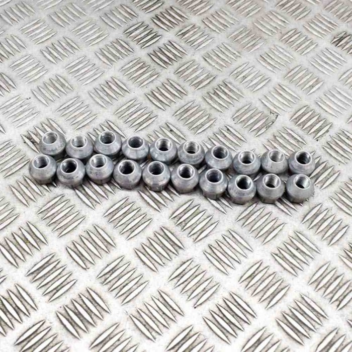 Set prezoane roata TESLA MODEL 3 2022 OEM: 1027002-00-B 20347661