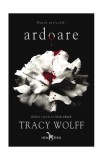 Ardoare (Vol. 1) - Paperback brosat - Tracy Wolff - Leda