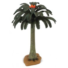 Copac Cycad Collecta