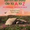 Sentimentele De La A La Z. Fii Stapanul Emotiilor Tale, Sam Fuller, Andrew Fuller - Editura Niculescu