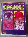 Morfopatologie Curs pentru facultatea de stomatologie Constantin Tasca,Irina Verejan COPIE