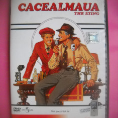 HOPCT CD DVD FILM -[ 20 ] CACEALMAUA / THE STING -ORIGINAL