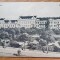 F692-Timisoara anii 1920-30-Parcul Kuttl actual Regele Ferdinand Ed. Polatsek.