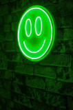 Decoratiune luminoasa LED, Smiley, Benzi flexibile de neon, DC 12 V, Verde, Neon Graph