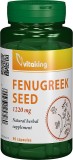 Schinduf 610 mg, 90 capsule, Vitaking