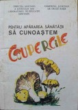 PENTRU APARAREA SANATATII SA CUNOASTEM CIUPERCILE-ILEANA PETRISOR-250383