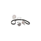 Set pompa apa + curea dintata VOLVO S60 I CONTITECH CT979WP2