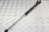 Amortizor haion st&acirc;nga FORD FOCUS III 2016 OEM: BM51-A406A10-AE 11499704