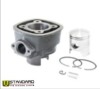 Set Motor 80cc D.47mm Gilera Runner NRG Extreme RST MC2 Zip SP LC 2T (96-00) 4 Colturi, Bolt 12mm, Racire Lichid - Motorevolution
