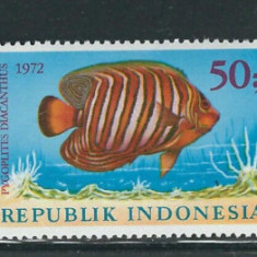 INDONEZIA 1972-FAUNA marina PESTI-Serie completa de 3 timbre nestampilate