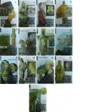Ovidiu Drimba - Istoria culturii si civilizatiei ( 13 vol. )