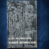 Cumpara ieftin Tara Banilor - Ilie Purcaru - Roman - Beletristica