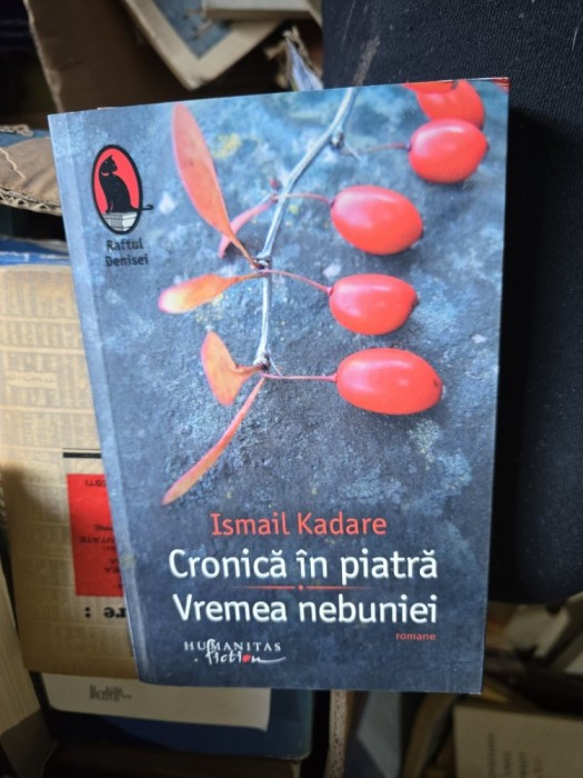 Cronică &icirc;n piatră. Vremea nebuniei - Ismail Kadare