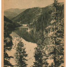 CPIB 18017 CARTE POSTALA - GHILCOS - LACUL ROSU, RPR, LIBRARIA NOASTRA