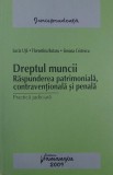 Dreptul muncii. Raspunderea patrimoniala, conversationala si penala (Practica judiciara) - Lucia Uta, Florentina Rotaru