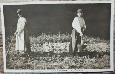 Taranci la munca campului, Jibou, Salaj// fotografie interbelica foto