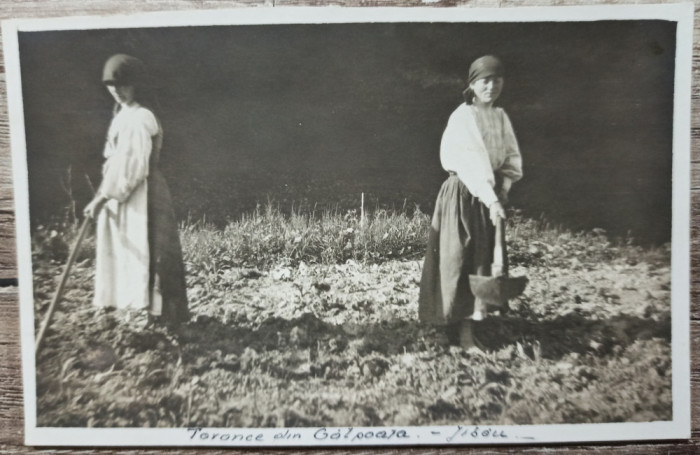 Taranci la munca campului, Jibou, Salaj// fotografie interbelica