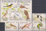 Timbre cu păsări din Sierra Leone