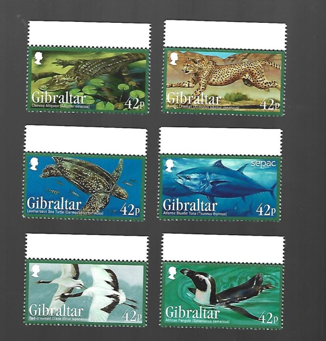 gibraltar mnh