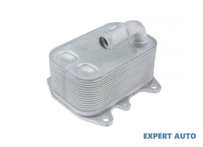 Radiator racire ulei Audi A6 AVANT (2011-&amp;gt;) [4G5,4GD,C7] #1 foto