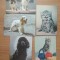 Carte Postala - Tema Caini si Pisici (11 buc.)