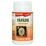 PAPADIE 40cps FAVISAN