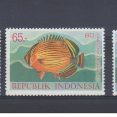 INDONEZIA 1973-FAUNA marina PESTI-Serie completa de 3 timbre nestampilate