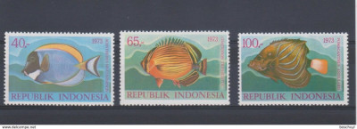 INDONEZIA 1973-FAUNA marina PESTI-Serie completa de 3 timbre nestampilate foto