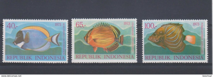 INDONEZIA 1973-FAUNA marina PESTI-Serie completa de 3 timbre nestampilate