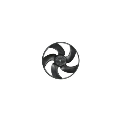 Ventilator radiator PEUGEOT 206 CC 2D DENSO DER21011 foto