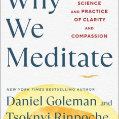 Why We Meditate: The Science and Practice of Clarity and Compassion