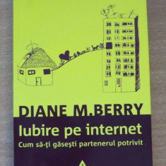 Iubire pe internet. Cum sa-ti gasesti partenerul potrivit - Diane M. Berry