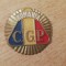 QW14 - Emblema militara - Comunism - Garzi patriotice - piesa de colectie