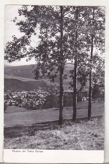 bnk cp Vatra Dornei - Vedere - uzata