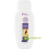 Sampon Anticadere cu Brusture si Gingko Biloba 250ml