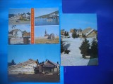 HOPCT LOT 2383 MUNTELE SEMENIC -JUD CARAS SEVERIN -3 CARTI POSTALE-CIRCULATE